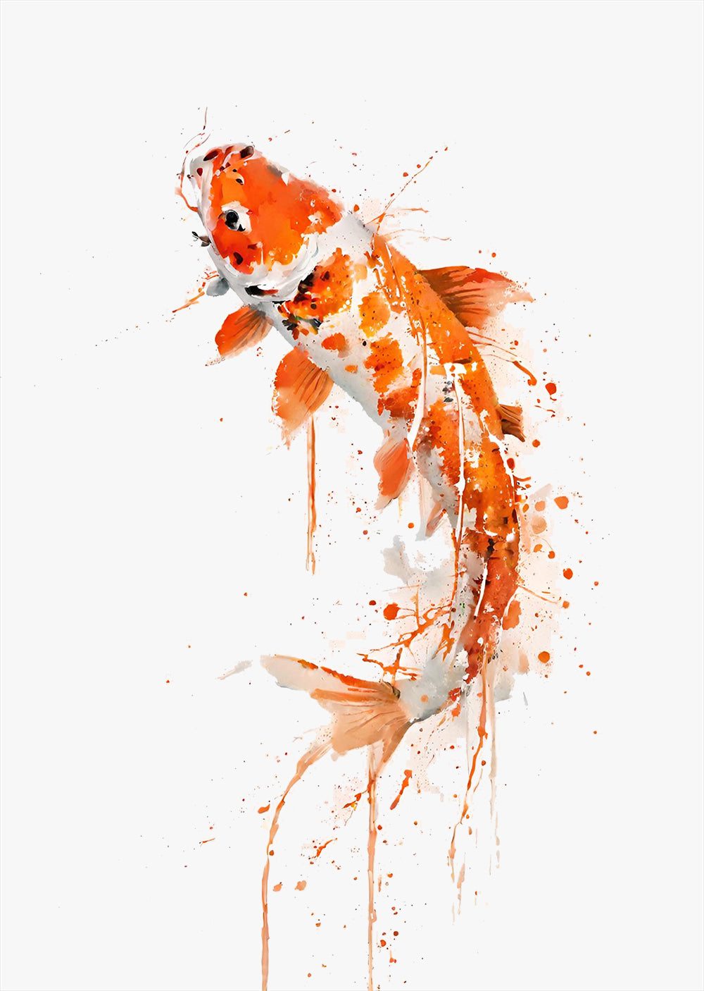 Koi Art Print | Fish Art outlet Print