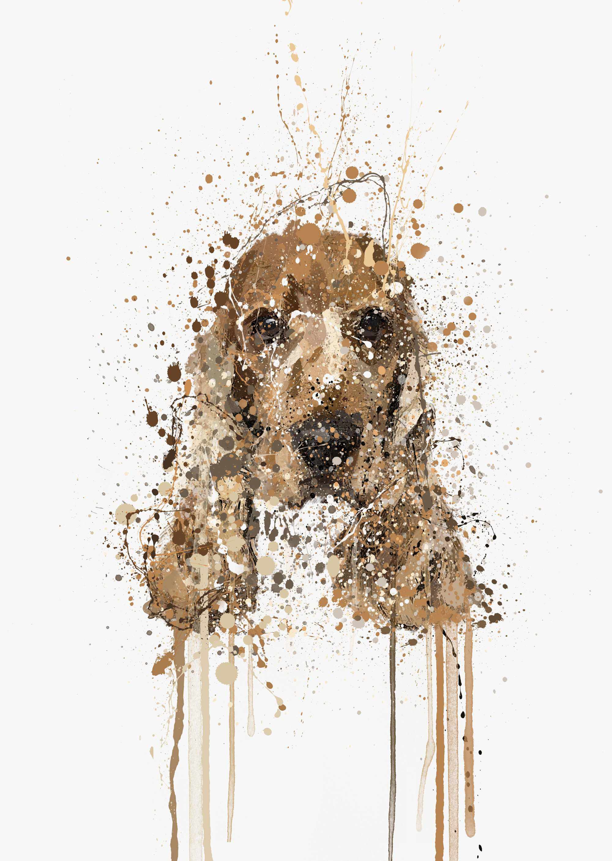 Cocker spaniel canvas top art