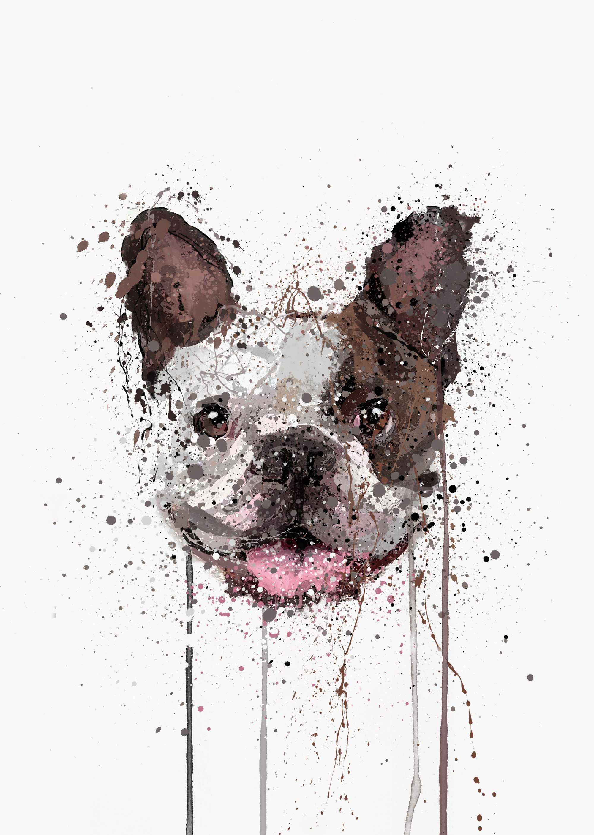 French bulldog clearance wall art